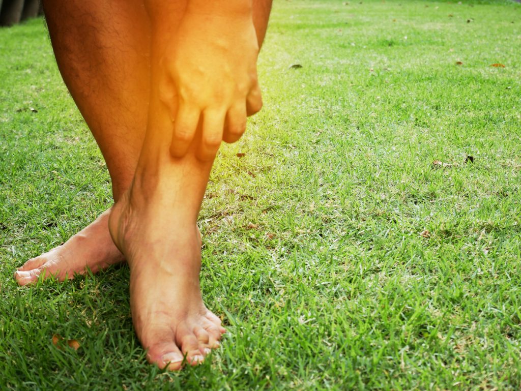 close-up of person sratching ankle in the grass